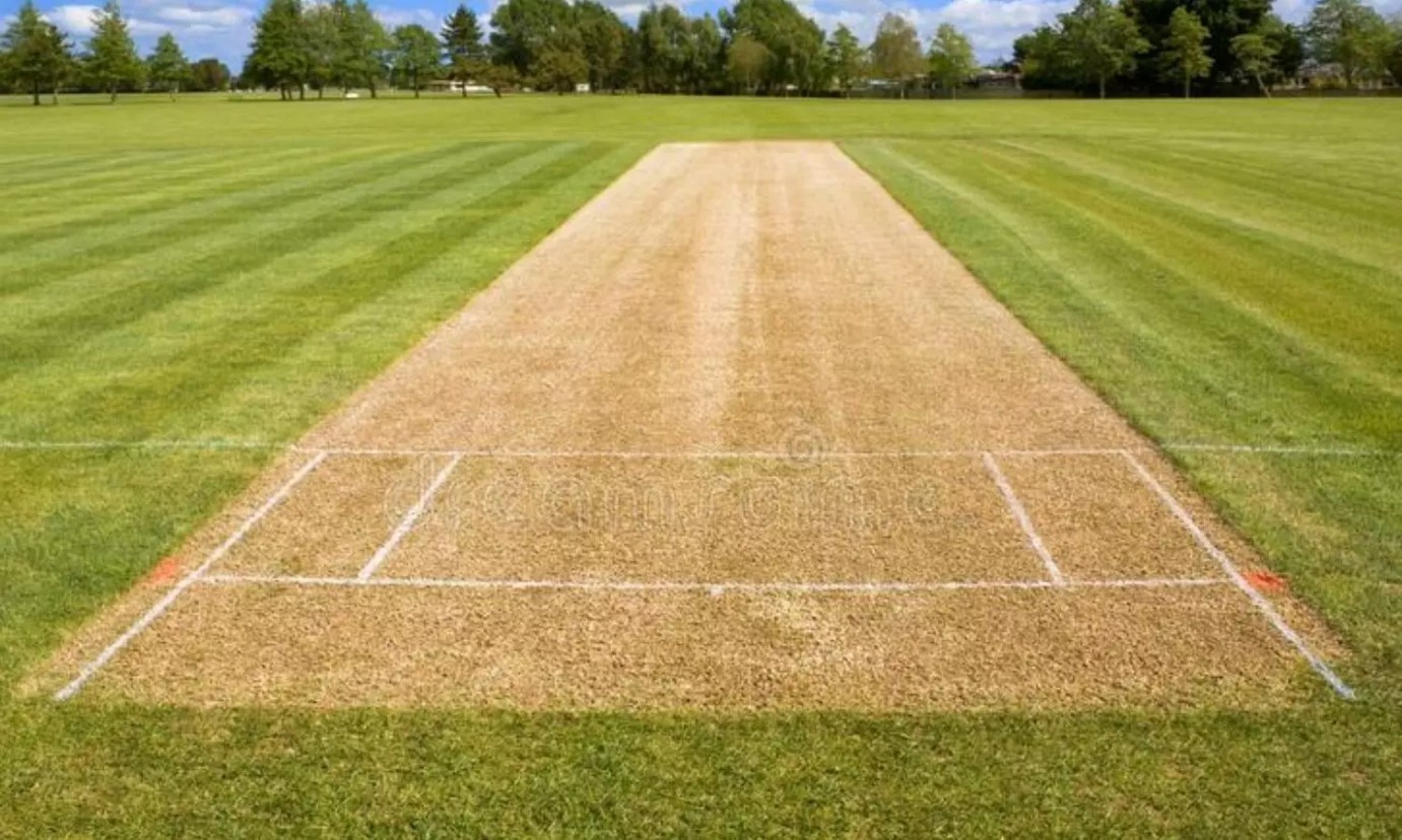 Cricket Pitch at Prateek Canary